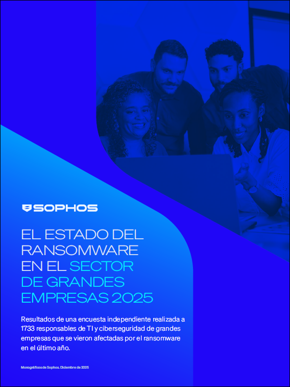 El estado del ransomware en el sector de grandes empresas 2025